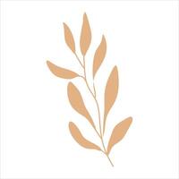 Beige abstract floral vector element