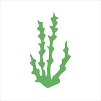 Algae plant abstract vector element