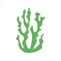 Algae plant abstract vector element