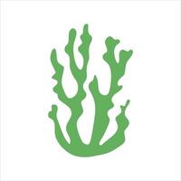 Algae plant abstract vector element