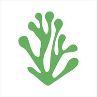 Algae plant abstract vector element