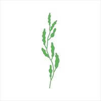 Algae plant abstract vector element