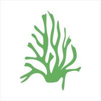 Algae plant abstract vector element