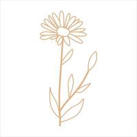 Outline beige abstract floral vector element