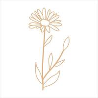 Outline beige abstract floral vector element