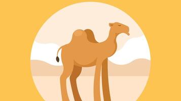 camel in the desert isolated vector illustration