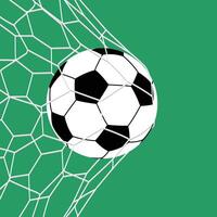 Soccer ball in net on green background vector