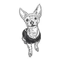 Black and white vector illustration of a cute Chihuahua.