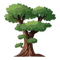 Cartoon style bonsai tree colourful vector illustration. Vector tree illustration on white background.