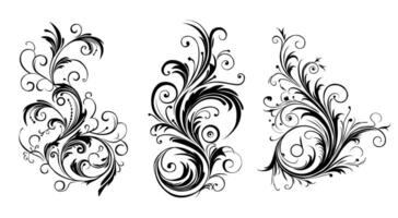 caligráfico floral diseño elementos y página decoración. elementos a embellecer tu diseño vector