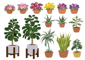 Set of hand-drawn houseplants and flowers in pots. Vector illustration.