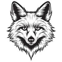 Fox. Graphic, sketch, black and white, hand-drawn portrait of a Foxs head on a white background. vector