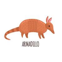 armadillo icono clipart avatar aislado vector ilustración