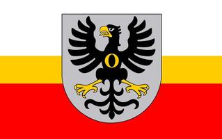bandera de auschwitz condado vector