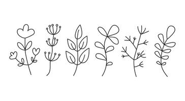 Grass, plant. Flower, leaf. Abstract flowers doodle, sketch, simple drawings, linear icons. vector
