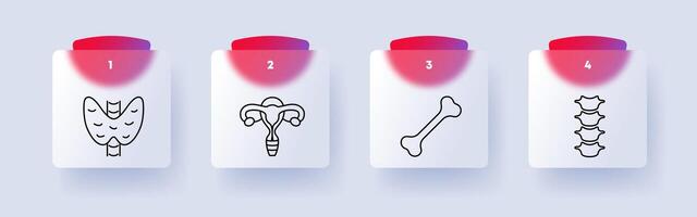 Organs set icon. Female reproductive organ, lungs, kidneys, bone, skeleton, numbering, spine, vertebrae. Self care concept. Glassmorphism style. vector