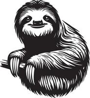 Sloth, Black and White Vector illustration