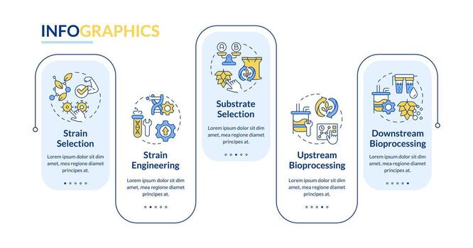 Precision fermentation stages rectangle infographic template. Data visualization with 5 steps. Editable timeline info chart. Workflow layout with line icons vector