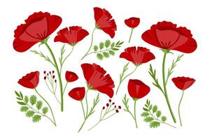 Red poppy flowers. Field wildflower in flat style. Red poppies isolated on a white background. Vector illustration.