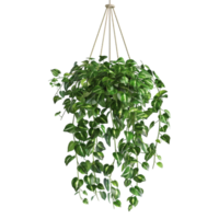 AI generated Leaves in The Air With Rope on Transparent background - Ai Generated png