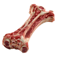 AI generated Bone with Raw Meat on Transparent background - Ai Generated png