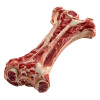 ai generato osso con crudo carne su trasparente sfondo - ai generato png