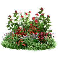 AI generated Outdoor Different Kind of Flowers Bush on Transparent background - Ai Generated png