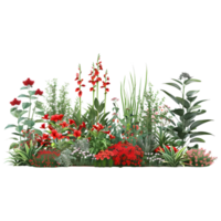 AI generated Outdoor Different Kind of Flowers Bush on Transparent background - Ai Generated png