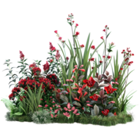 AI generated Outdoor Different Kind of Flowers Bush on Transparent background - Ai Generated png