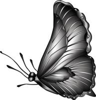 ilustración de negro color mariposa vector diseño en un blanco antecedentes