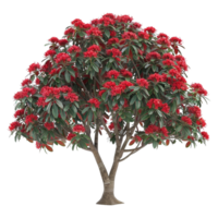 ai généré rouge fleurs sur une arbre sur transparent Contexte - ai généré png