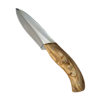 AI generated Sharp Kitchen Knife on Transparent background - Ai Generated png