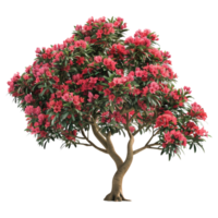 ai gegenereerd rood bloemen Aan een boom Aan transparant achtergrond - ai gegenereerd png