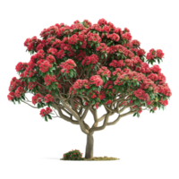 ai generato rosso fiori su un' albero su trasparente sfondo - ai generato png