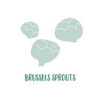 Hand drown Brussels sprouts. Simple flat design. Go vegan diet. Green vegetables. Veggie food. vector