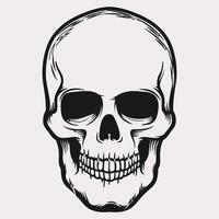 Black and white human skull vector