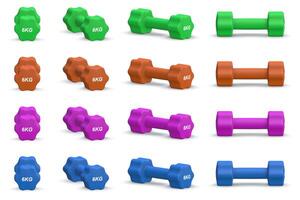 6 Kg Dumbbell Set photo