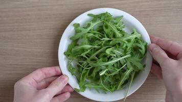 kvinna händer sätta en tallrik med arugula på de tabell video