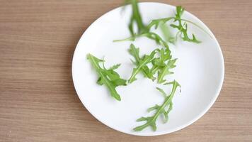 Roquette feuilles chute dans blanc assiette video