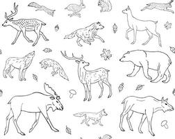 Vector seamless pattern of hand draw forest animal