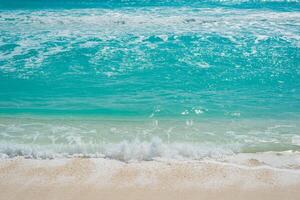Beautiful beach in Cancun, Quintana Roo photo