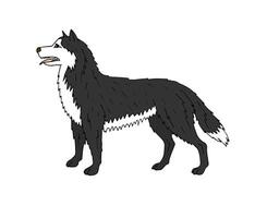 Vector hand drawn doodle sketch husky dog