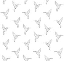 Vector seamless pattern of hand drawn hummingbird