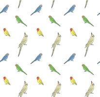 Vector seamless pattern of budgie and cockatiel