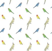 Vector seamless pattern of budgie and cockatiel