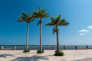 malecón tajamar en cancún, quintana roo, mexico foto