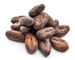 AI generated A pile of cocoa beans isolated on white background. Close-up Shot. photo