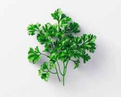 AI generated Fresh parsley isolated on white background. Close-up Shot. photo