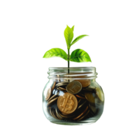 AI generated Green plant growing from coins in glass jar on white png