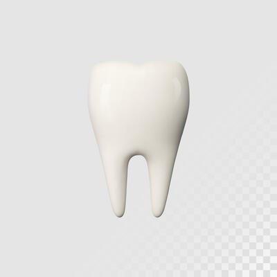 White tooth implant implant cut, healthy tooth or dental surgery.